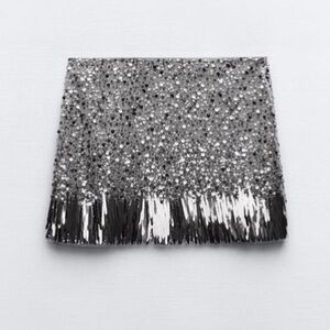 Zara sequence mini skirt